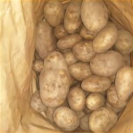 potato trays for sale