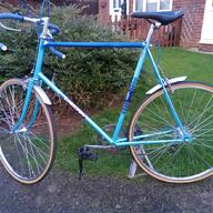 carlton cycle for sale