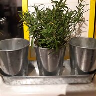 galvanised plant pot for sale