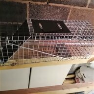 animal traps for sale