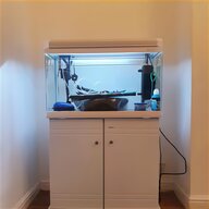 marine fish tank for sale