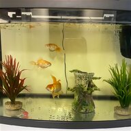 4ft fish tanks for sale