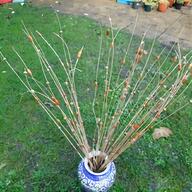 wooden stakes for sale