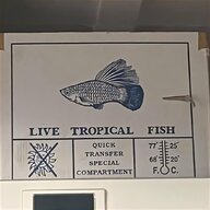 polystyrene fish box for sale