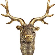 mounted stags head for sale