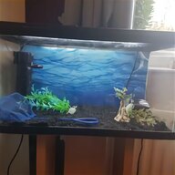 hexagonal fish tank for sale
