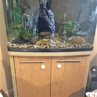 eheim fish tank for sale
