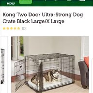 metal dog kennel for sale