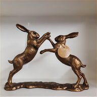 boxing hares for sale