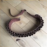 cobra snake for sale