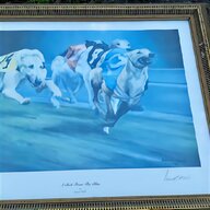 greyhounds for sale