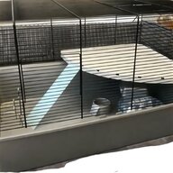 indoor guinea pig run for sale