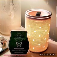 scentsy warmer for sale