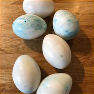 marble eggs for sale