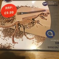 jurassic fossils for sale