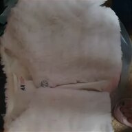 baby fur shrug for sale