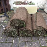 real grass turf for sale