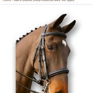 sabre reins for sale