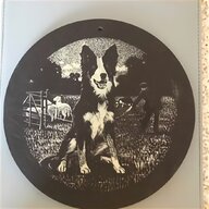 border collie wall for sale