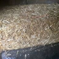 haylage for sale