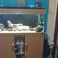 jewel fish tank for sale