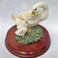 swan cygnet for sale