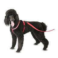 fleece lined dog harness for sale