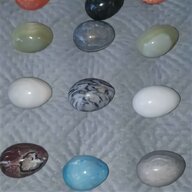 marble eggs for sale
