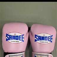 sandee boxing gloves for sale
