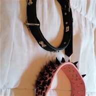 magnetic dog collar for sale
