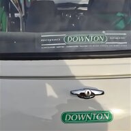 downton mini for sale