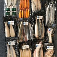 dead baits for sale
