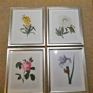 vintage botanical prints for sale
