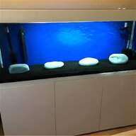 beautiful fish tanks for sale