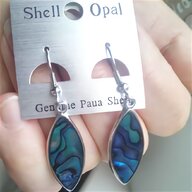 paua shell for sale