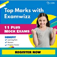 11 exam for sale