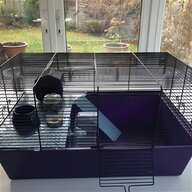 indoor guinea pig run for sale