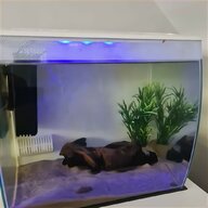 tropical fish tank heater for sale
