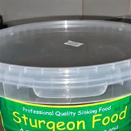 sturgeon fish for sale