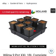 hydroponics seeds for sale