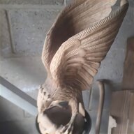 wooden eagle for sale