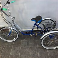 adults electric trike for sale