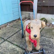 welsh terrier for sale