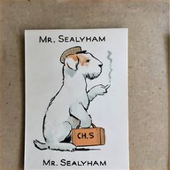 sealyham terrier for sale
