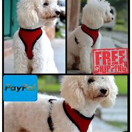 xxs soft puppy harness for sale