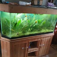 large aquarium tank for sale