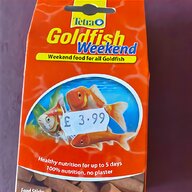 goldfish for sale