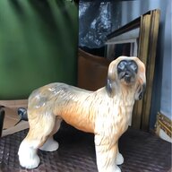 staffordshire spaniel dogs for sale