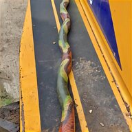 snake stick for sale