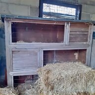 2 tier rabbit hutch for sale